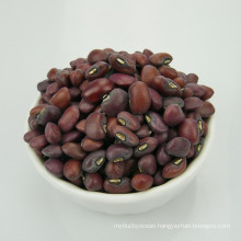 High Quality Red Cowpea